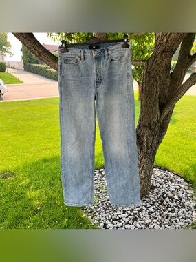Banana Republic Mid Rise Baggy Loose Stovepipe Straight Leg Jeans